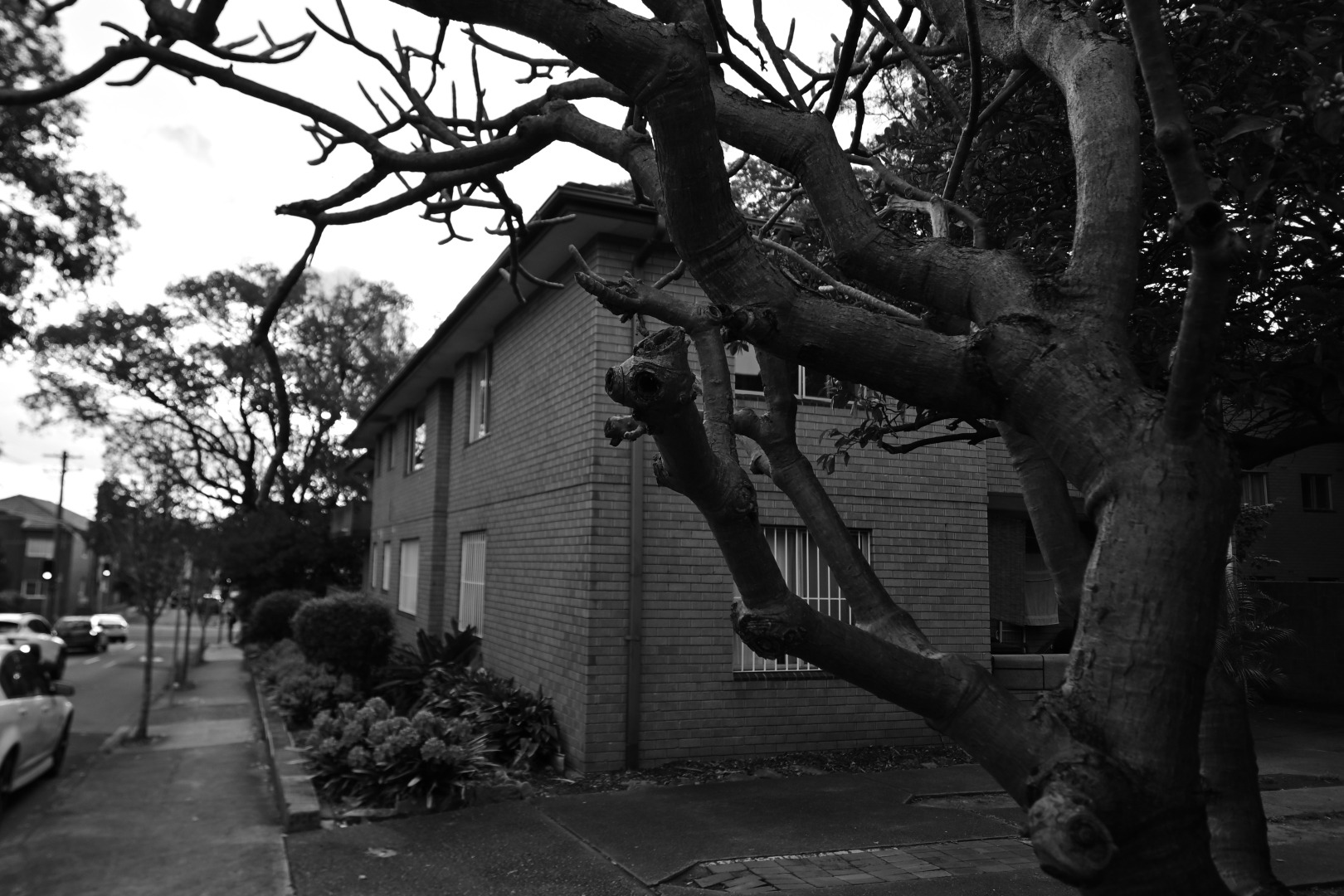 Strathfield